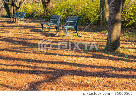 長凳 / 深秋公園圖片 長凳 / 深秋公園圖片 85060565
