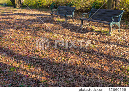 長凳 / 深秋公園圖片 長凳 / 深秋公園圖片 85060566