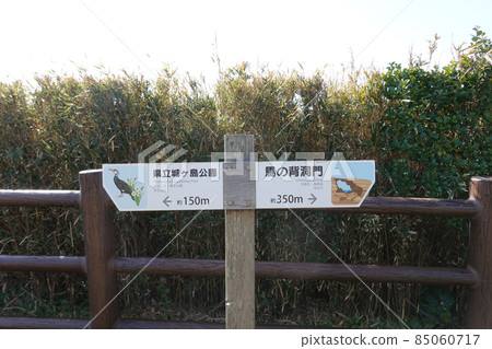 通往清澈的城島(三浦半島)和海宇天文台(Uma-no-seidomon)的山脊道路 通往清澈的城島(三浦半島)和海宇天文台(Uma-no-seidomon)的山脊道路 85060717