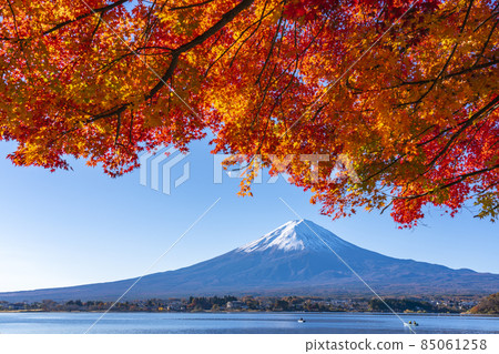 Mt. Fuji and autumn leaves seen from the shore of Lake Kawaguchi 85061258