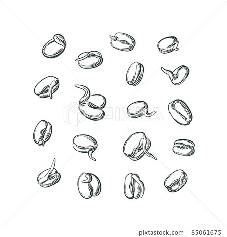 Mung sprouts. Vector set of graphic bean. Vegan 85061675