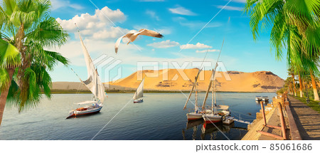 Nile and boats at day 85061686
