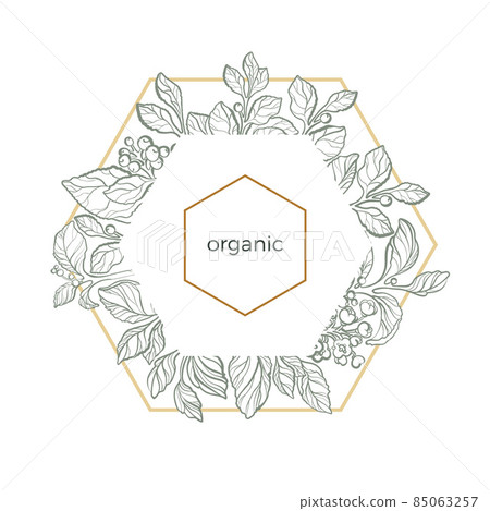 Vector template of set mate branches in sexangle on white background. 85063257