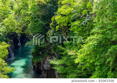 Tedori Gorge surrounded by fresh green 85063506