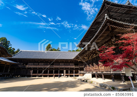 秋天Shoshazan禪寺 85063991