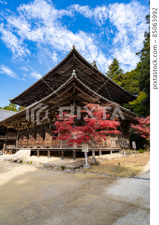 秋天Shoshazan禪寺 秋天Shoshazan禪寺 85063992