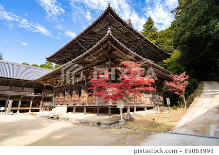 秋天Shoshazan禪寺 秋天Shoshazan禪寺 85063993