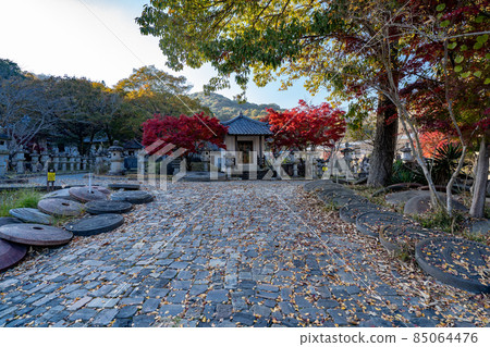 Taiyo Park sightseeing spot Taiyo Park sightseeing spot 85064476