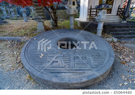 Taiyo Park sightseeing spot 85064480