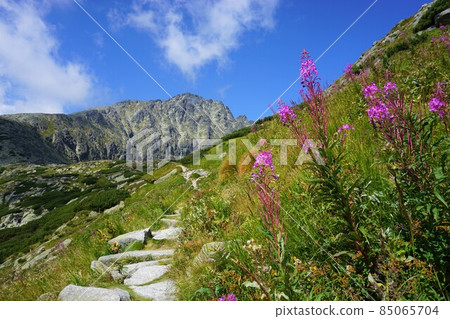 Slovak mountain trail Slovak mountain trail 85065704