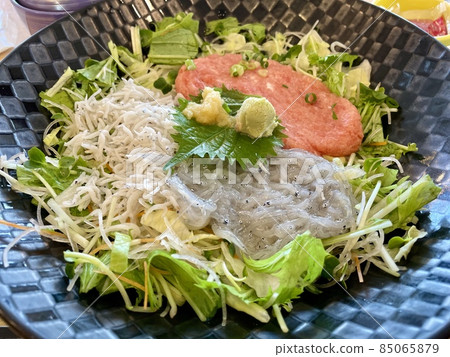 [Kanagawa] Shirasudon 85065879