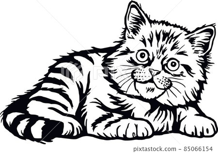 Domestic Cat, Peeking kitten - Cheerful kitty isolated on white - vector stock 85066154