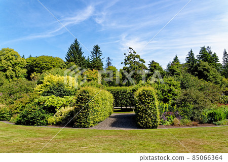 Culzean Park in summertime - Scotland 85066364