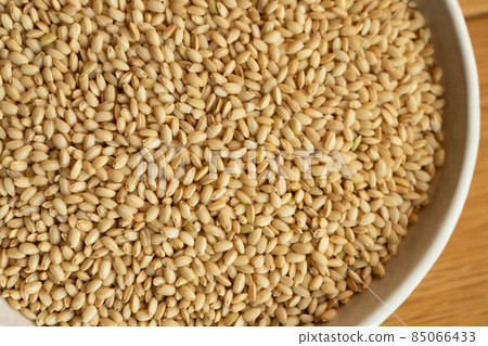 Glutinous rice brown rice new rice (November) Glutinous rice brown rice new rice (November) 85066433