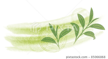 葉子和流血的日式圖像白色綠色 85066868