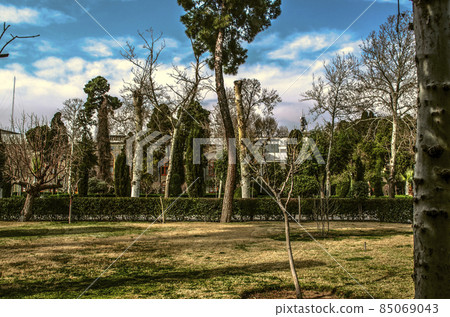 Tall conifers, palms, cypresses, boxwood bushes and new trees on the lawn in the winter garden of the Golestan Palace in Tehran. Tall conifers, palms, cypresses, boxwood bushes and new trees on the lawn in the winter garden of the Golestan Palace in Tehran. 85069043