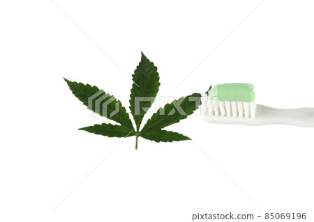 Soft focus on a toothbrush with green toothpaste. 85069196