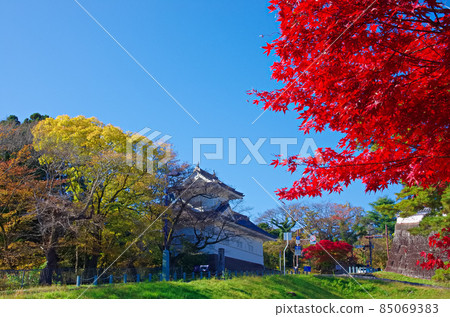 Sendai Castle Ruins in Autumn 85069383
