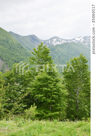 Northern Albanian mountains in Vermosh, Albania. Visit Albania 85069517