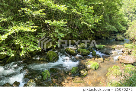 Fresh greenery and clear streams Fresh greenery and clear streams 85070275