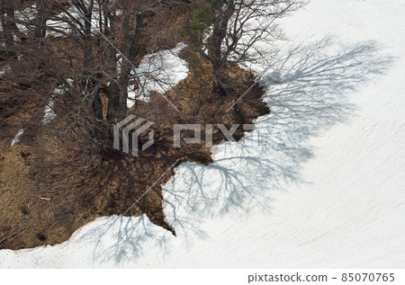 Spring landscape with the last snow 85070765