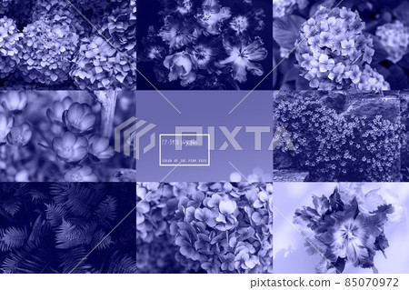 Collage of purple very peri photos Collage of purple very peri photos 85070972