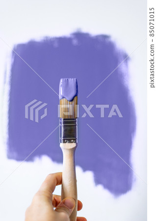 Choosing wall paints 85071015