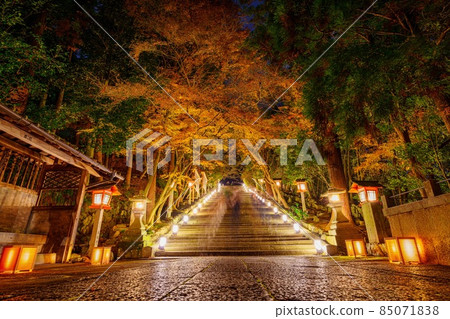 Arashiyama Hanatouro 2021 85071838
