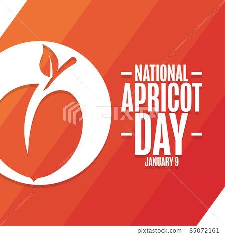 National Apricot Day. January 9. Holiday concept. Template for background, banner, card, poster with 85072161