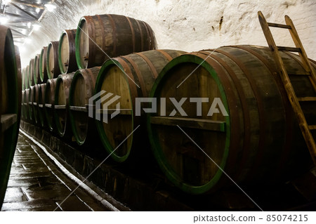 Rows of wooden barrels in beer brewhouse 85074215