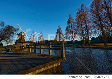 Akebonoyama Park Winter withered dusk Akebonoyama Park Winter withered dusk 85074757