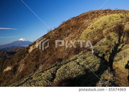 Winter Tanzawa Tanzawa main vein line vertical runway from Mt. Hiru and Mt. Fuji distant view 85074969