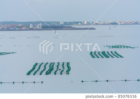 Many oyster farm on the sea 85076316