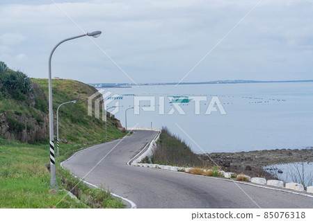 Many oyster farm on the sea 85076318