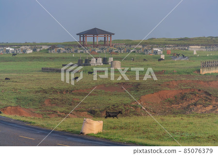 Sunny landscape of the Penghu Island 85076379