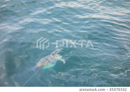 Close up shot of fishing a squid 85076582