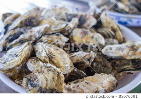 Close up shot of many oyster Close up shot of many oyster 85076591
