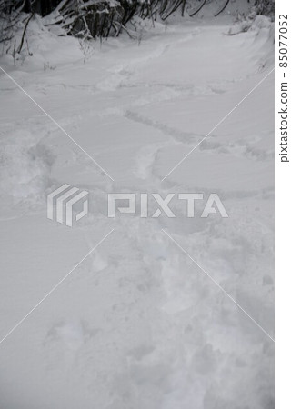 雪跡 雪跡 85077052