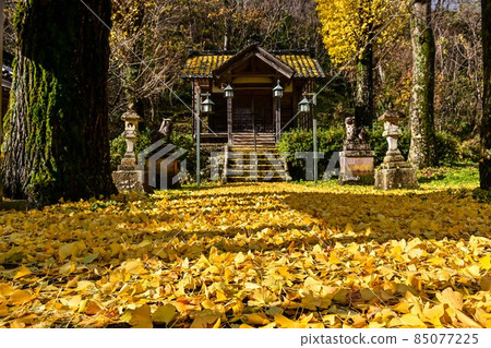 河原山八幡宮的銀杏 85077225