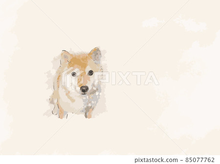 Shiba Inu Watercolor 1.eps 85077762
