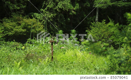 Banjō的菩薩 Banjō的菩薩 85079041