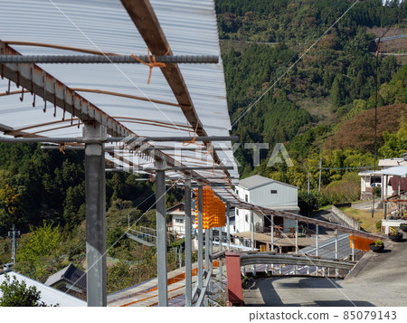 The orange color is beautiful! Autumn Wakayama Prefecture Kushigaki no Sato 85079143