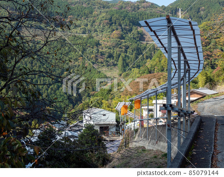 橙色的顏色很漂亮！秋季和歌山縣串垣之裡 85079144