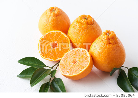 Dekopon (Shiranuhi) cut in half 85083064