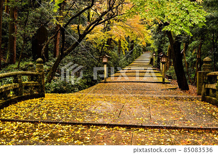 Hakusan Hime Shrine in late autumn 85083536