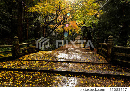 Hakusan Hime Shrine in late autumn 85083537