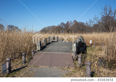 Tatebayashi City, Gunma Prefecture 85083658