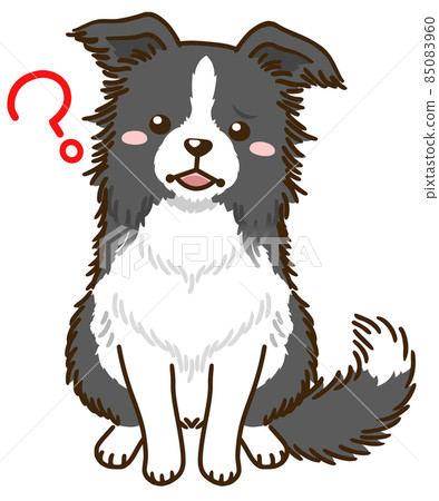 邊境牧羊犬(黑白) 邊境牧羊犬(黑白) 85083960