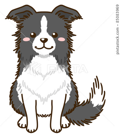 Border Collie (Black & White) Border Collie (Black & White) 85083969