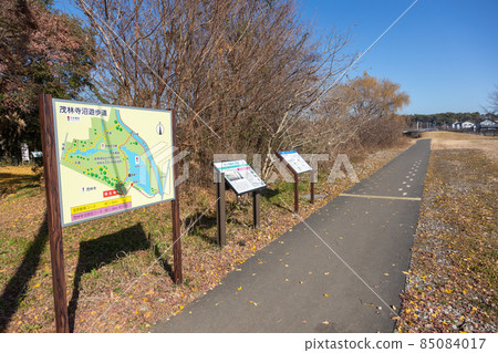 群馬縣館林市 85084017